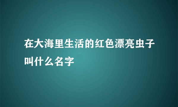 在大海里生活的红色漂亮虫子叫什么名字