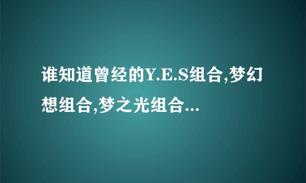 谁知道曾经的Y.E.S组合,梦幻想组合,梦之光组合的成员分别是谁？有思琦或凌晗的那些组合！