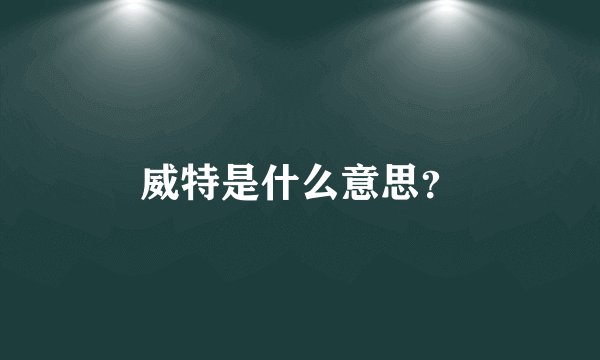 威特是什么意思？