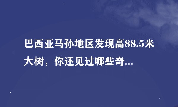 巴西亚马孙地区发现高88.5米大树，你还见过哪些奇特的树？