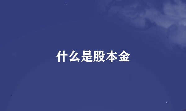 什么是股本金