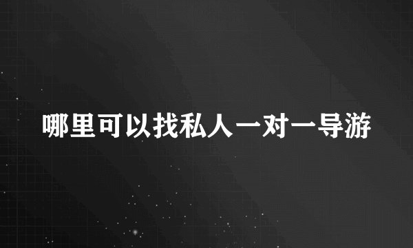 哪里可以找私人一对一导游