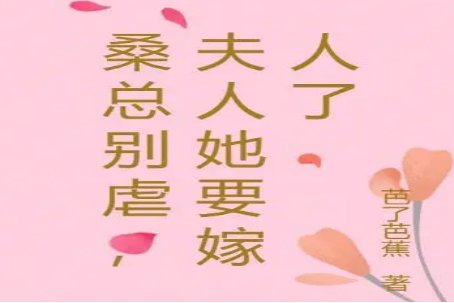南枫 桑胤衡小说结局