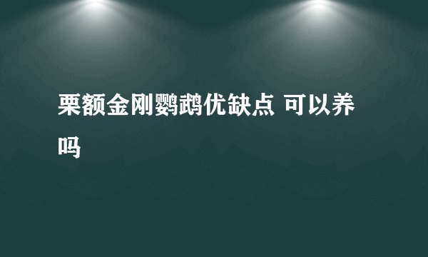 栗额金刚鹦鹉优缺点 可以养吗