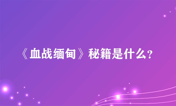 《血战缅甸》秘籍是什么？