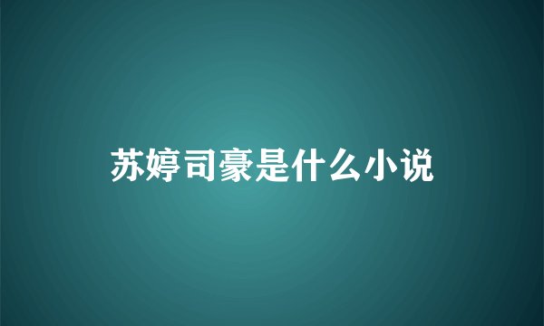 苏婷司豪是什么小说