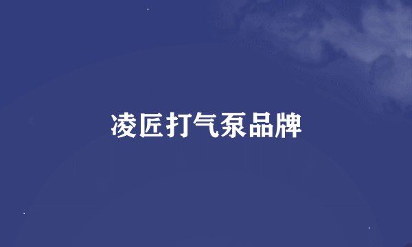 凌匠打气泵品牌