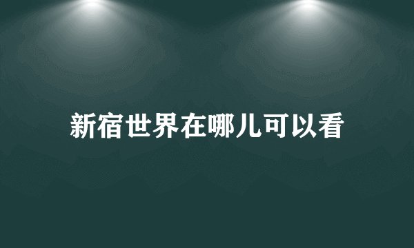 新宿世界在哪儿可以看