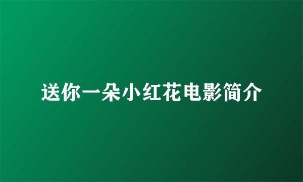 送你一朵小红花电影简介