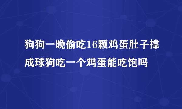 狗狗一晚偷吃16颗鸡蛋肚子撑成球狗吃一个鸡蛋能吃饱吗
