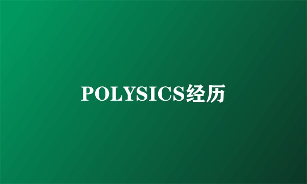 POLYSICS经历