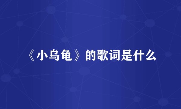 《小乌龟》的歌词是什么