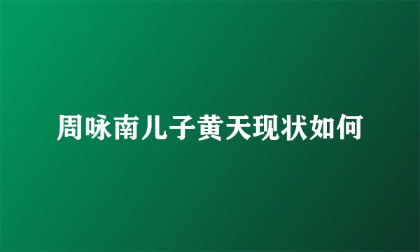 周咏南儿子黄天现状如何