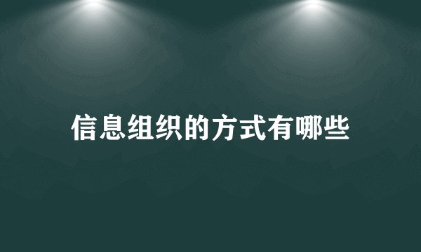 信息组织的方式有哪些