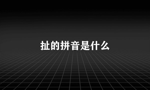 扯的拼音是什么