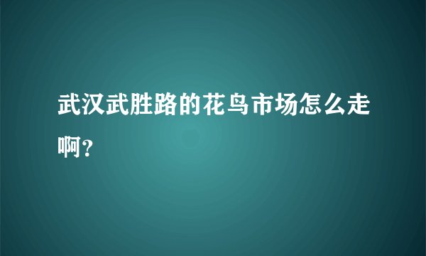 武汉武胜路的花鸟市场怎么走啊？
