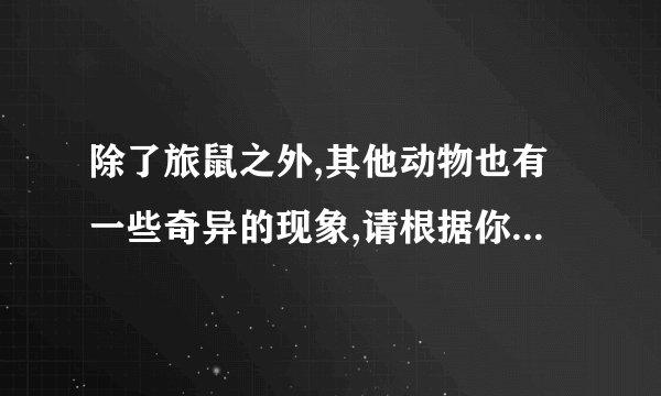 除了旅鼠之外,其他动物也有一些奇异的现象,请根据你的观察和了解,写一段文字,说明