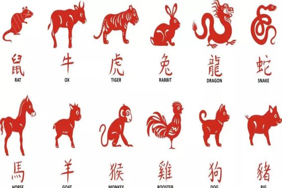十二生肖中呼应不灵的是哪几个?