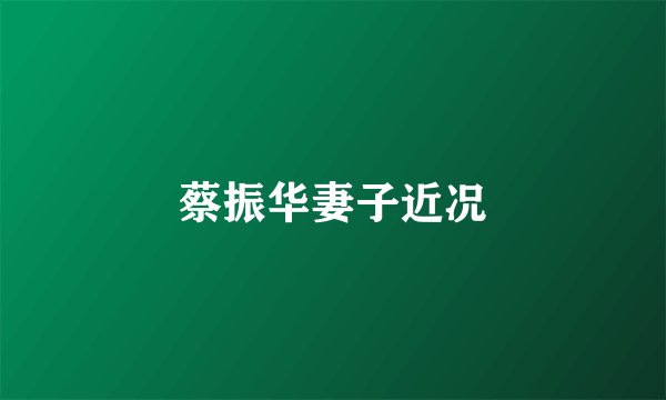 蔡振华妻子近况