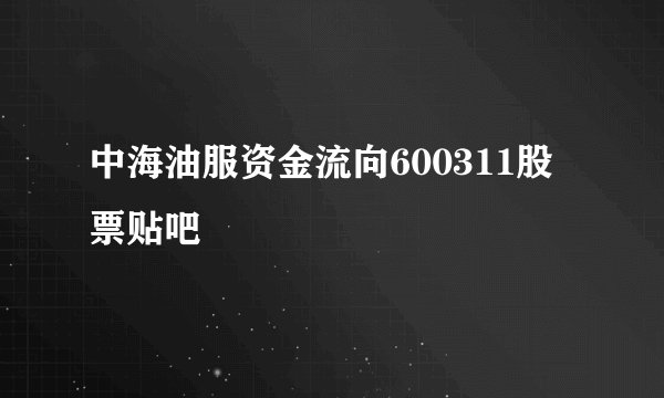 中海油服资金流向600311股票贴吧