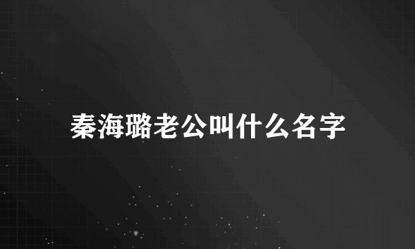 秦海璐老公叫什么名字