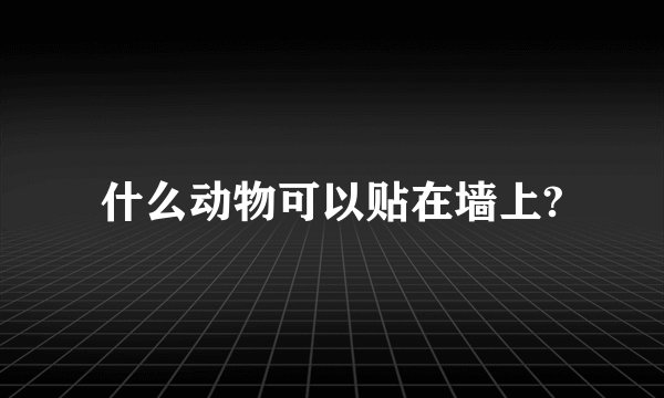 什么动物可以贴在墙上?