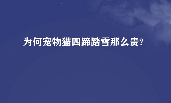 为何宠物猫四蹄踏雪那么贵?