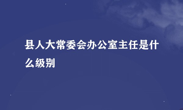 县人大常委会办公室主任是什么级别
