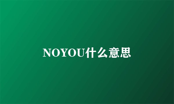 NOYOU什么意思