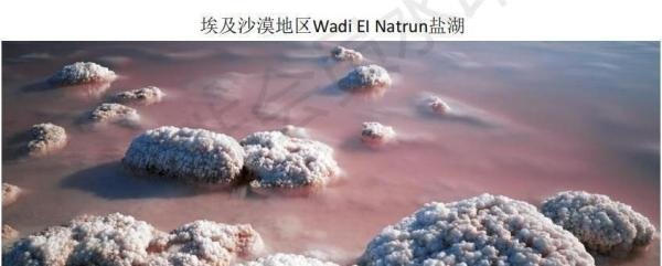 四氢嘧啶【四氢甲基嘧啶羧酸】