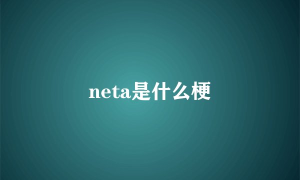 neta是什么梗