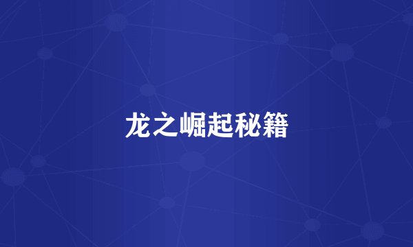 龙之崛起秘籍