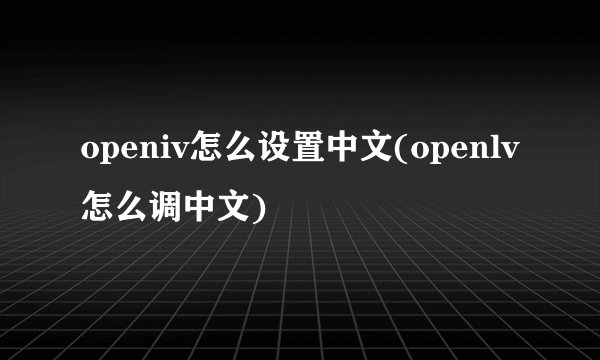 大料是什么调料