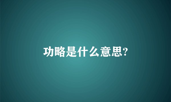功略是什么意思?