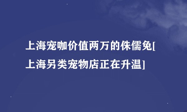 上海宠咖价值两万的侏儒兔[上海另类宠物店正在升温]