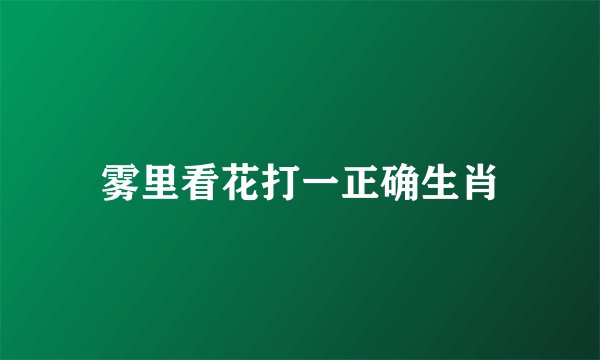 雾里看花打一正确生肖