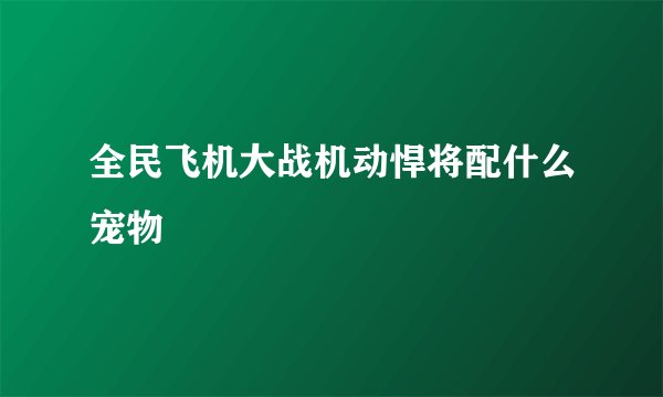 全民飞机大战机动悍将配什么宠物