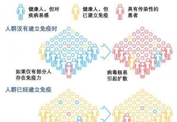 英国229名科学家公开抨击“群体免疫”策略 英国“群体免疫”怎么回事？世卫组织质疑