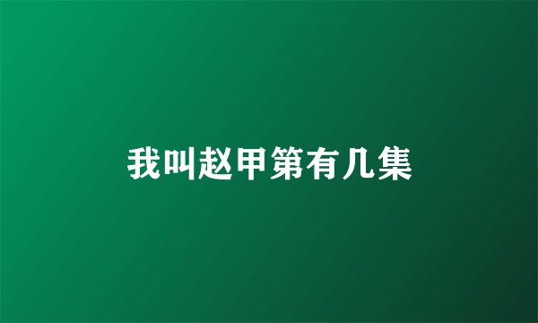 我叫赵甲第有几集