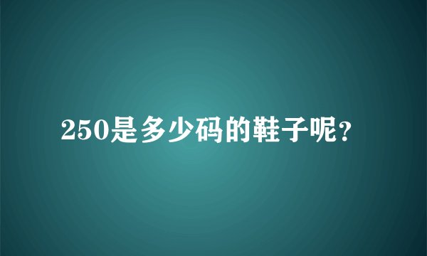 250是多少码的鞋子呢？