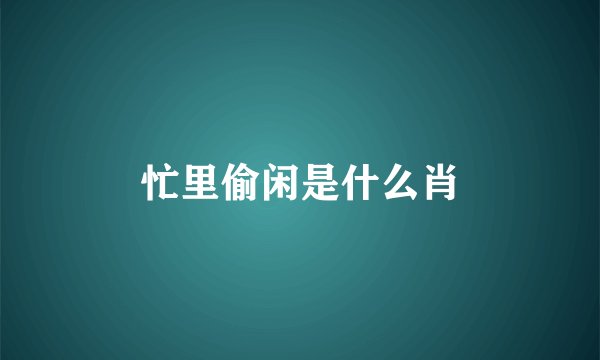 忙里偷闲是什么肖