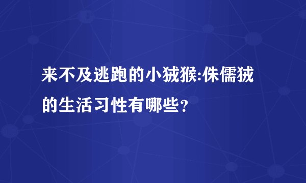 来不及逃跑的小狨猴:侏儒狨的生活习性有哪些？