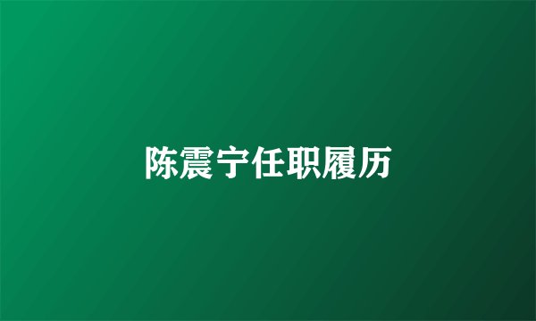 陈震宁任职履历