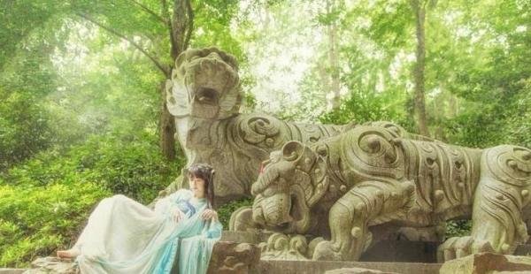《回梦如初》全文/完结/阅读【大结局】