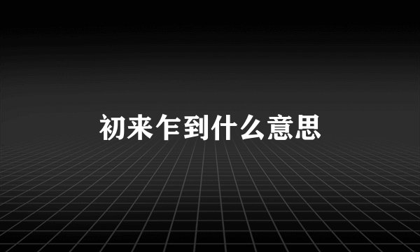 初来乍到什么意思