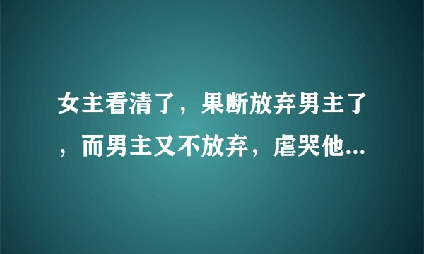 女主看清了，果断放弃男主了，而男主又不放弃，虐哭他，往死里虐男主的小说有哪些？