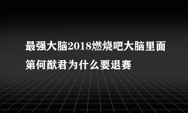 最强大脑2018燃烧吧大脑里面第何猷君为什么要退赛