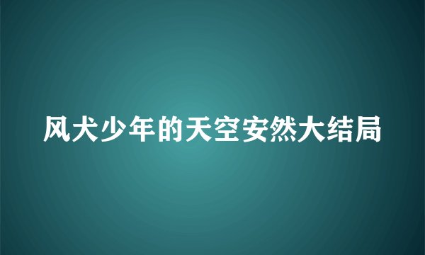 风犬少年的天空安然大结局