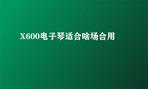 X600电子琴适合啥场合用