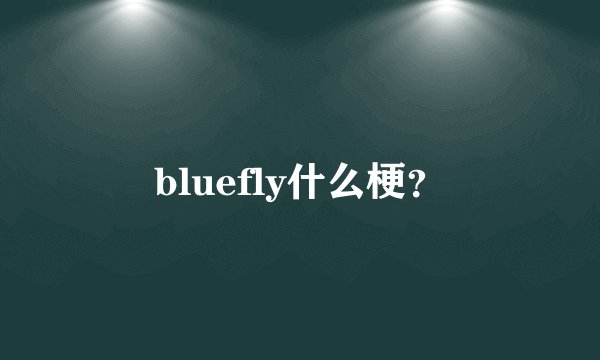 bluefly什么梗？